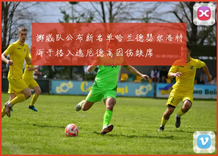 挪威队公布新名单哈兰德瑟尔洛特海于格入选厄德高因伤缺席
